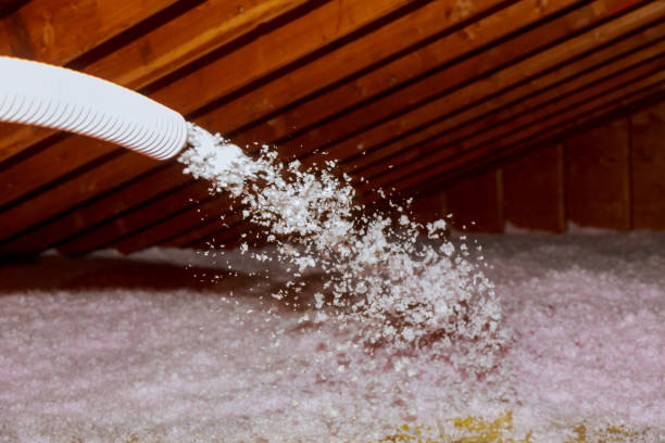 Types of Insulation We Offer in Lafourche Crossing, LA