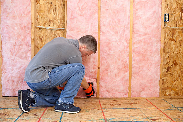Best DIY Insulation Kits and Guidance in Fourche Crossing, LA