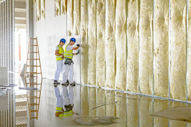 Best Spray Foam Insulation in Fourche Crossing, LA